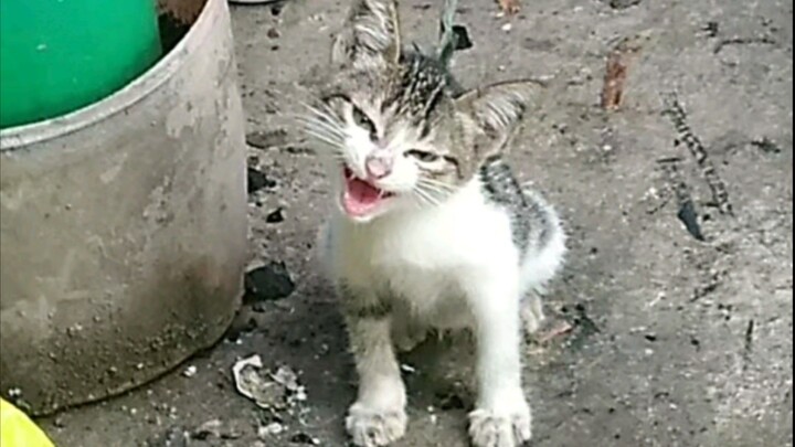 Rertasdet ceye Jacob mosbg &  night 🤣