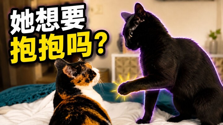 她想要抱抱吗?