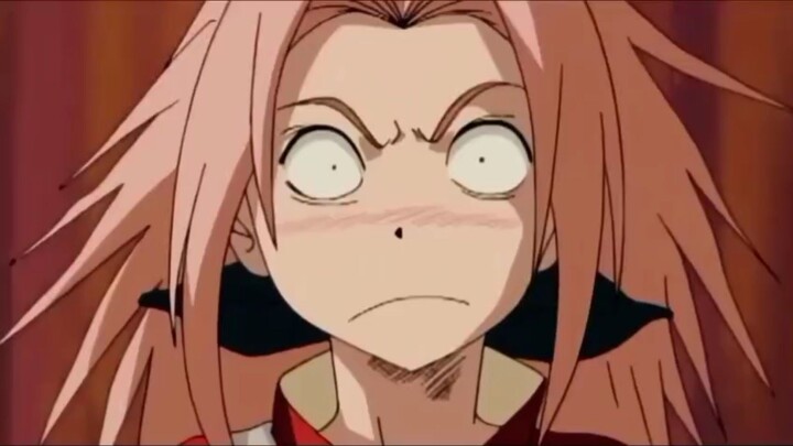 sakura