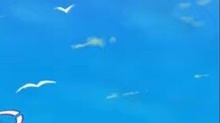 เวลาเล่นซิปไลน์ต้องถอดเครื่องประดับเล็กๆ น้อยๆ ออกก่อนค่ะ สงสัยจังว่าถ้าใครมีเล็บจะเป็นยังไง [岁己SUI]