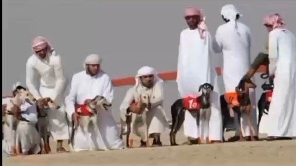 saudi arabian🇸🇦ganti nama jadi yahudi arabianseperti yg babeh haikal katakan benar jg😭#free🇵🇸