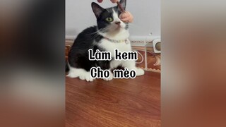 Mẹ Cúc mong nhà  làm kem tiếp theooo nha mèo cat conmeomatchym