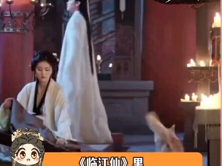 Hôm nay chính thức chứng kiến diễn xuất trên phim trường của Đại Hoàng (៸៸᳐⦁⩊⦁៸៸᳐ )੭