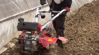 土质不是无缘无故变好的，张钥沅他值得【卓沅】
