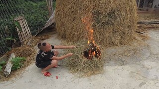 Cá Rô Đồng Nướng -  Mao Đệ Đệ Đốt Cả Cay Rơm Nhà Mao Ca Nướng Cá