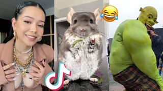 Funny TikToks That Entertained Me 😂