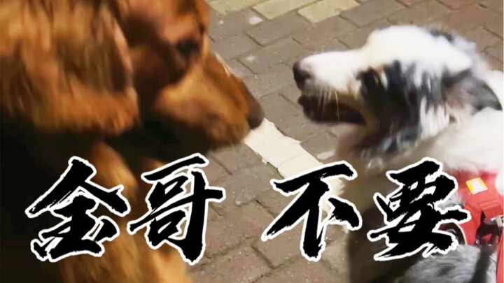 “Hừ! Ghét mấy cái tiểu kê mao không có giới hạn!”