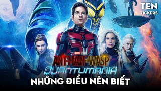 Những Điều Cần Biết Trước Khi Ra Rạp Xem ANT-MAN AND THE WASP: QUANTUMANIA | Ten Tickers