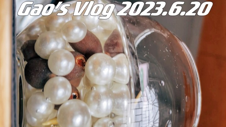 在家种荷花5.0！阿高天台俱乐部全员到齐