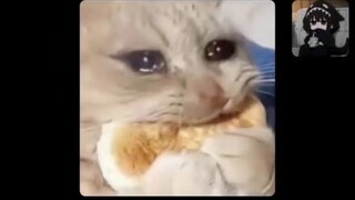 مجموعة رسائل غريبة (91)