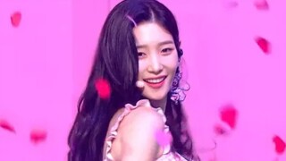 郑采妍归队！明年一月回归确定！DIA《WooWoo》一键换装混剪