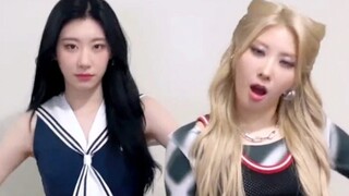 人缘满分梯！ITZY x PURPLEKISS x TO1挑战合集