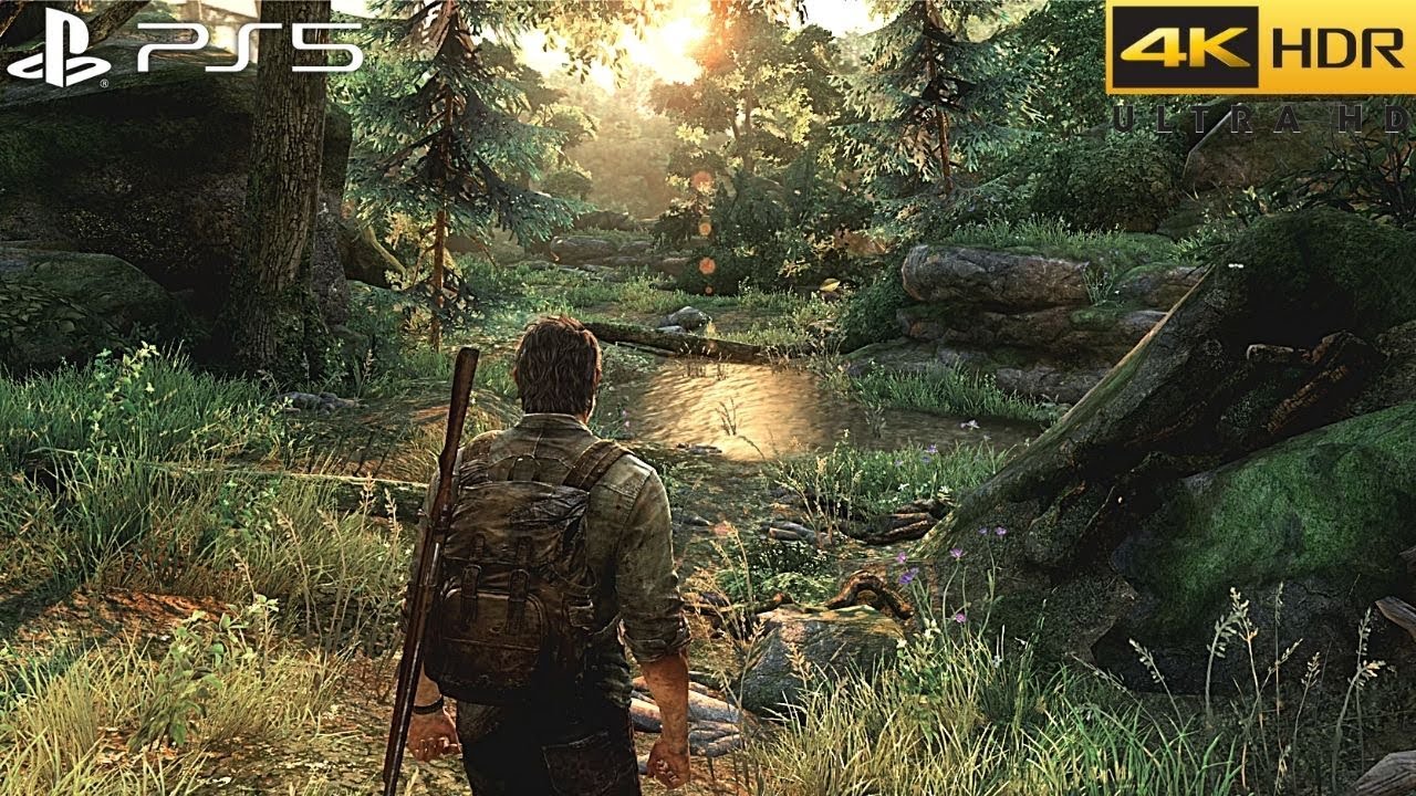 last of us 4k 60fps ps5