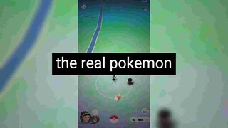 The real pokemon :))))