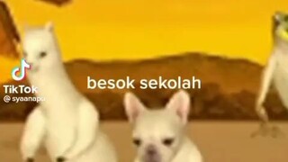 esok sekolah 🏫