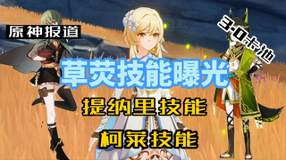 草荧技能曝光？提纳里技能、柯莱技能、3.0卡池——《原神》