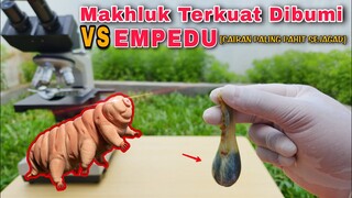 EKSPERIMEN: CAIRAN EMPEDU vs TARDIGRADA.. Asli ni makhluk kuat banget