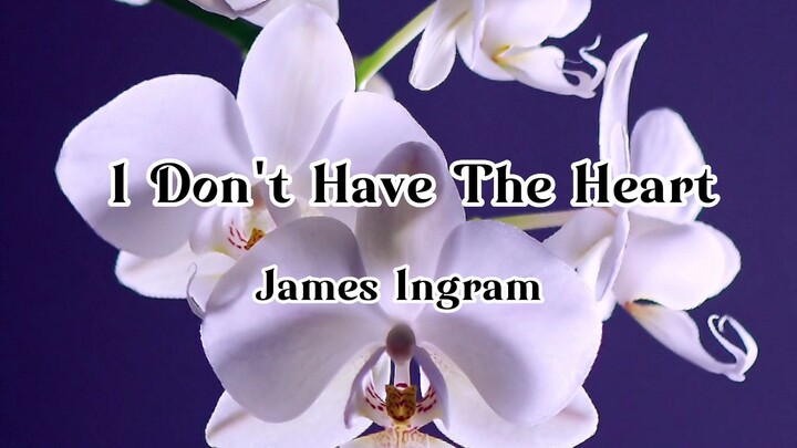 James Ingram - I Don't Have The Heart Lyrics