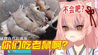 【Hiiro】外国猫看过王刚的竹鼠，又看福建人吃老鼠