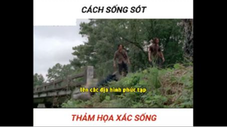 Làm gì khi gặp xác sống 3 #sinhton