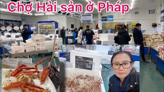 Lấy Chồng Tây/Chợ hải sản ở Pháp chuẩn bị Noel cho gia đình Chồng Tây/Cathy gerardo cuộc sống Pháp