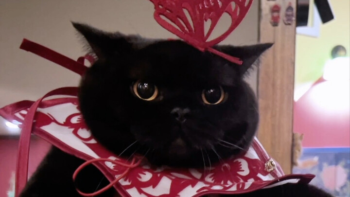 ฉลองปีใหม่ด้วยการพลิกแผ่นป้ายอาหาร แปลงโฉมเป็นพระสนมกัน! คากุอวี้สวมชุดใหม่ต้อนรับปีใหม่ ขอให้ทุกคนโ