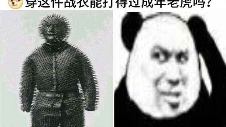 Pakai baju perang ini bisa nggak lawan harimau dewasa? Σ(ﾟдﾟ;) Kumpulan meme kocak dan absurd di int