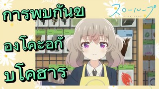 [Slow Loop] การพบกันของโคะอิกับโคฮารุ