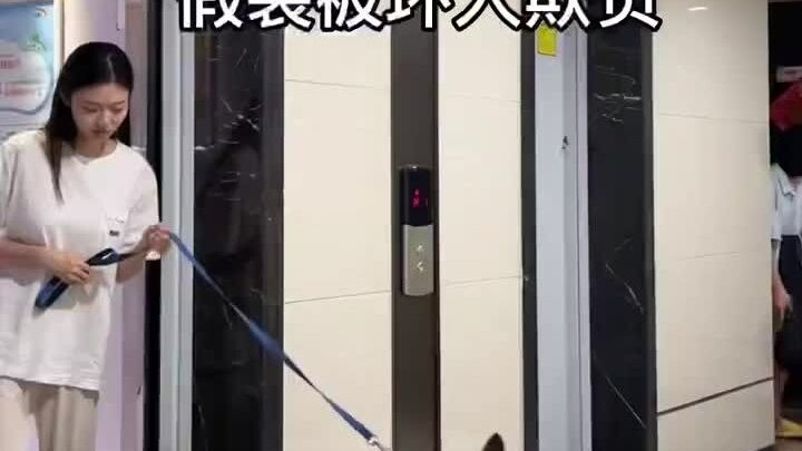 Berpura-pura diganggu orang jahat, reaksi anjing German Shepherd