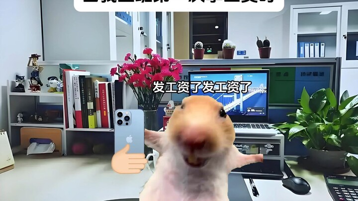 When I Got My First Paycheck at Work