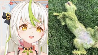 【七饭】主播不雅照曝光