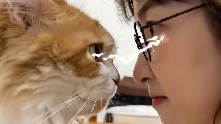 อันที่จริงมี่ก็รู้อยู่แล้ว