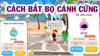 Play together | Bắt Côn Trùng Với JunB Cánh Cứng Vàng Hiếm!!!