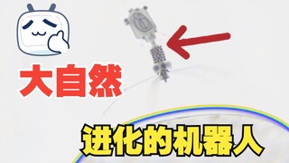 Thực khuẩn thể là một loại virus chuyên tấn công vi khuẩn! Thiên nhiên thật tuyệt vời!