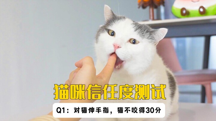 Uji tingkat kepercayaan pada 5 ekor kucing, selesai! Aku jadi memelihara seekor kucing bermata putih