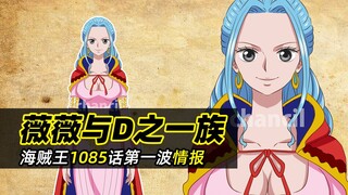 海贼王1085话情报丨薇薇也是D之一族，五老星全员疑似恶魔果实能力者，伊姆亲自出手抹杀寇布拉