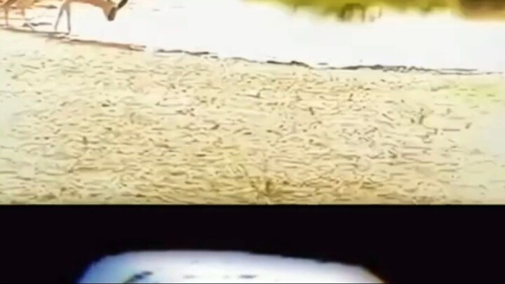 Y2meta.app-Trollface __Coldest Moments Of All Time _ ��Coldest Trollface Compila