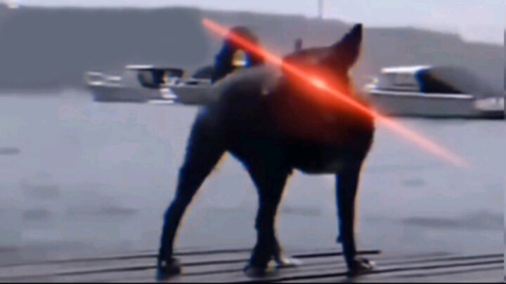 [คลิปตลก] รวมฉากฮา ๆ ของมนุษย์ผู้ไม่เหมือนใคร