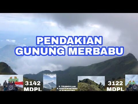 PENDAKIAN GUNUNG MERBABU VIA SUWANTING - JALURNYA BIKIN SINTING