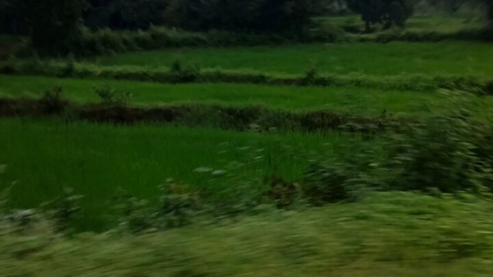 Village life