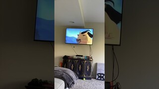 Opening To Sinbad Legend Of Seven Seas 2003 VHS