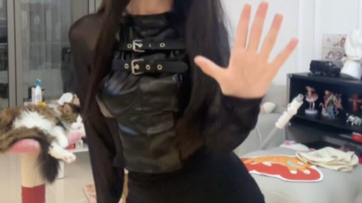 Don't look at the cat—look at me!