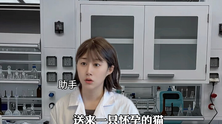 When You Work at Bureau 749