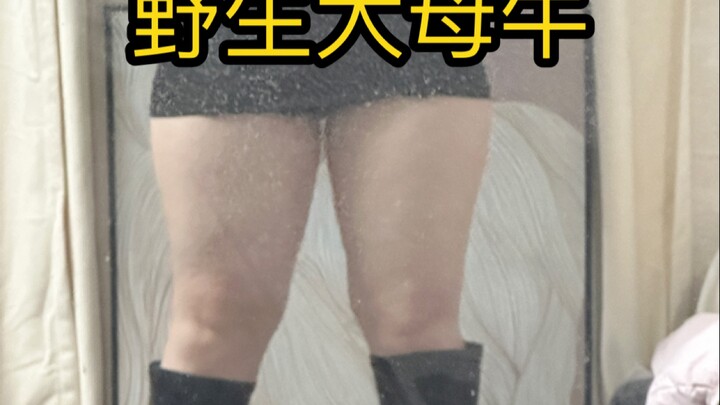 People say I look like a big cow—my response is, thanks for the compliment!