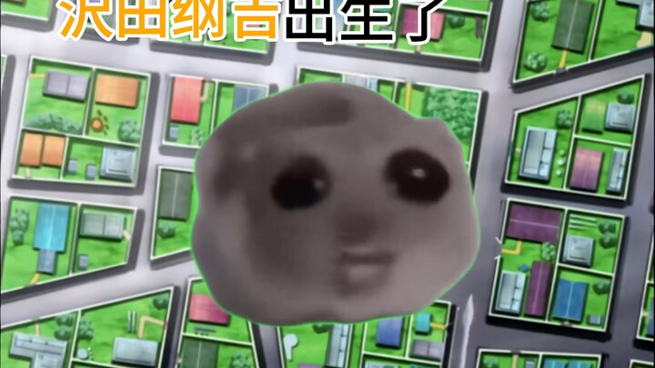 沢田纲吉出生了
