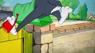 ทอมถอดออก
