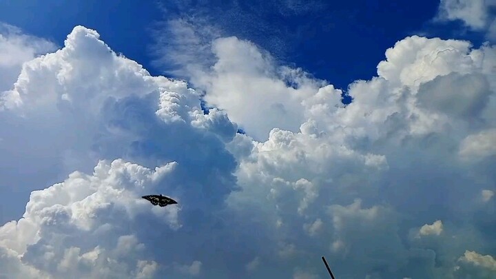 Soft clouds, loud thoughts.