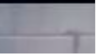 Monster Hunter Stories Ride On - Avinia Scene