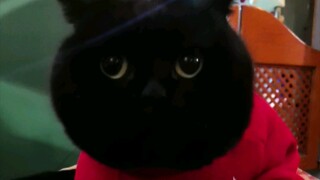 لحم مفروم يتناثر في كل اتجاه، ويرشّ على وجهي بالكامل!