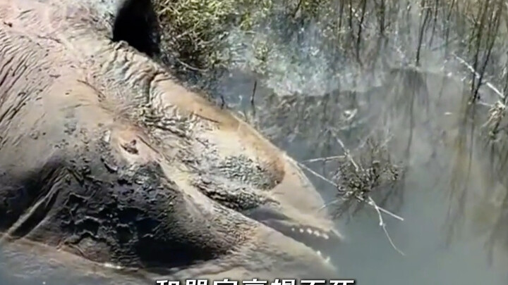 هل ما زال هناك أمل؟